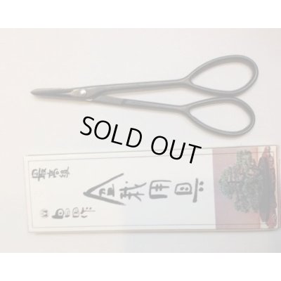 Photo4: No.0103  Bud Trimming Shears [90g/160mm]