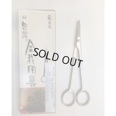 Photo4: No.8005  Bud Shears, 5-ndl, pine [60g/145mm]