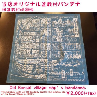 Photo1: No.bandana  Old Bonsai village map bandana