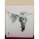 No.SH1108  grape