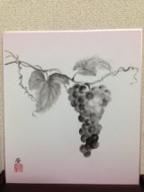 No.SH1108  grape