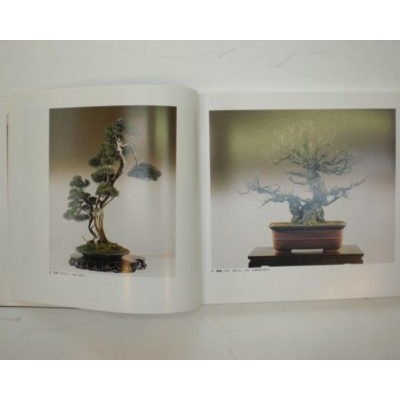 Photo4: No.TAKAGI  THE BONSAI EXHIBITION OF THE TAKAGI COLLECTION