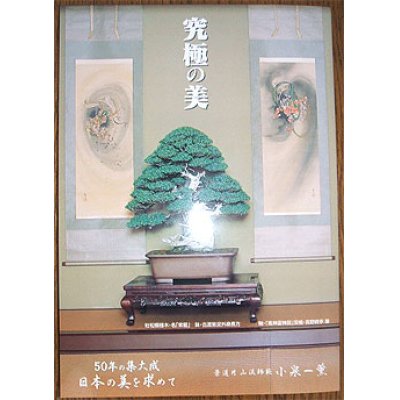 Photo1: No.Koizumi Book Version 2  Extreme Beauty Version 2