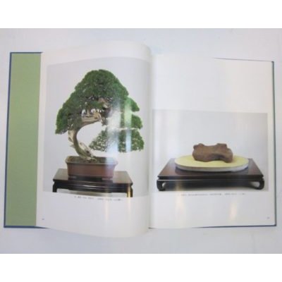 Photo2: No.Oiwai Book  Bonsai Exhibition of the Crown Prince Marriage Anniversary (1993)