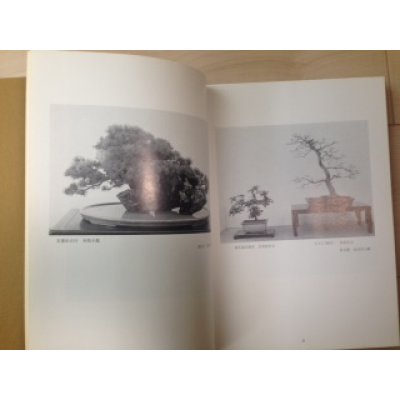 Photo2: No.KF45  Kokufu album 1971(total 201 pages)
