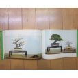 Photo3: No.KF47 <br>Kokufu album 1973(total 196 pages) (3)