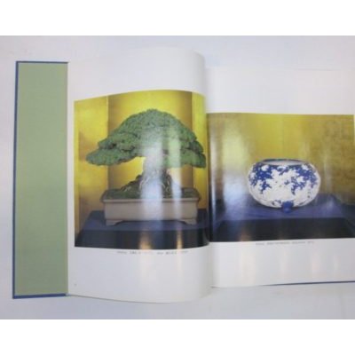 Photo4: No.Oiwai Book  Bonsai Exhibition of the Crown Prince Marriage Anniversary (1993)