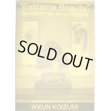 No.Version 2  English translation book for Koizumi