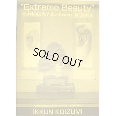 Photo1: No.Version 2  English translation book for Koizumi