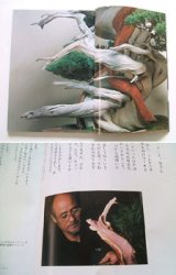 No.TKB-No.1  “Bonsai Craftsman” by Takeo Kawabe