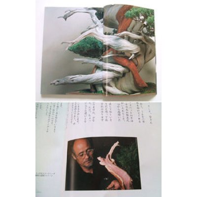 Photo1: No.TKB-No.1  “Bonsai Craftsman” by Takeo Kawabe