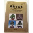 Photo1: No.KBM <br>The Bonsai masterpiece collection Vol. Top Prize Winning Bonsai (1)