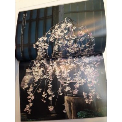 Photo2: No.1  Bonsai art book ”和”