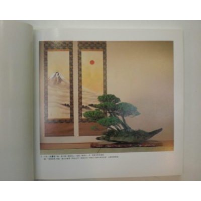 Photo2: No.TAKAGI  THE BONSAI EXHIBITION OF THE TAKAGI COLLECTION