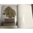 Photo3: Satsuki precious tree 2nd book <br>by Tetsunosuke Kurihara (January 1973) (3)