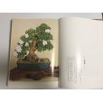 Photo4: Satsuki precious tree 2nd book <br>by Tetsunosuke Kurihara (January 1973) (4)