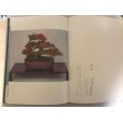 Photo4: Satsuki precious tree book <br>by Tetsunosuke Kurihara (January 1972) (4)