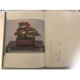 Photo4: Satsuki precious tree book <br>by Tetsunosuke Kurihara (January 1972) (4)