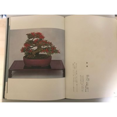 Photo4: Satsuki precious tree book  by Tetsunosuke Kurihara (January 1972)