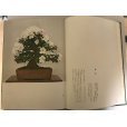 Photo3: Satsuki precious tree book <br>by Tetsunosuke Kurihara (January 1972) (3)