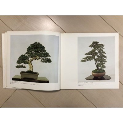 Photo2: No.SF album  Sakufu ten No.3 (1978)