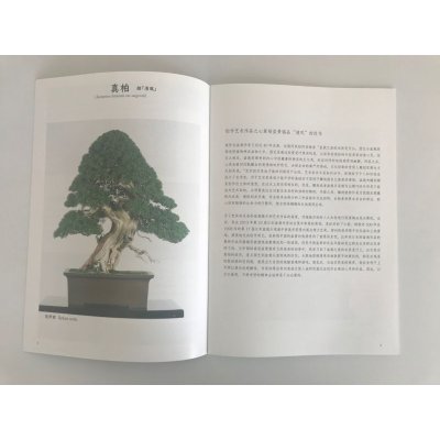 Photo4: No. KK-1  Kunio Kobayashi Book