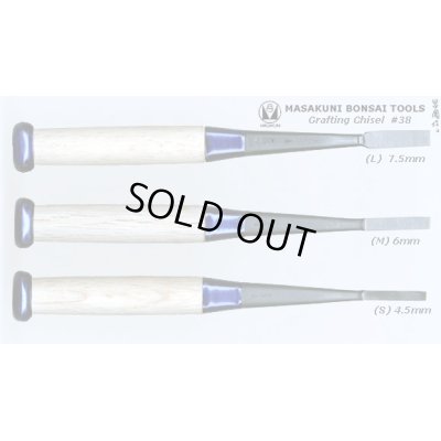 Photo1: No.0038  CHISELS FOR CAMELLIA GRAFTING [80g (240g)/180mm]