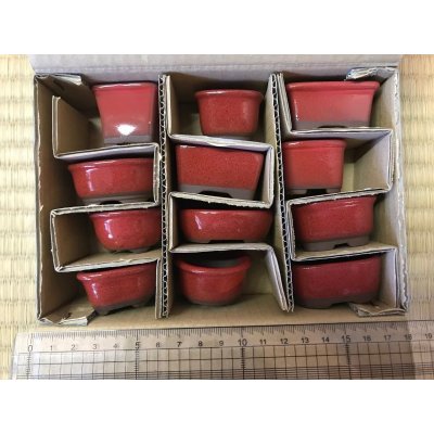 Photo1: No.303  Bunzan, Mame bonsai pot, 12pcs