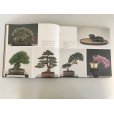 Photo4: No.World Bonsai 2 <br>International Bonsai and Suiseki Exhibition <br>1981 year (4)