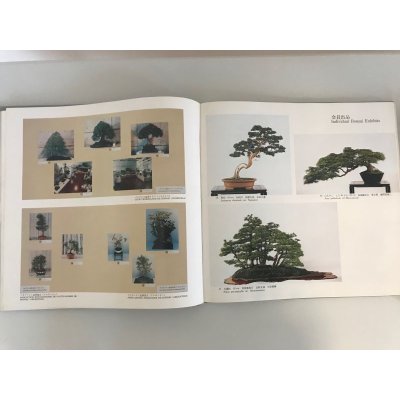 Photo3: No.World Bonsai 5  International Bonsai and Suiseki Exhibition  1984 year