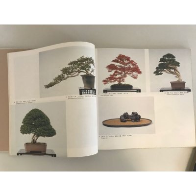 Photo3: No.World Bonsai 9  International Bonsai and Suiseki Exhibition  1988 year