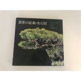 No.World Bonsai 9  International Bonsai and Suiseki Exhibition  1988 year