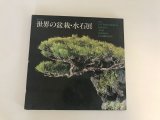 No.World Bonsai 9  International Bonsai and Suiseki Exhibition  1988 year