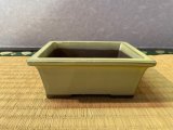 No.MSYE1049-4.5  Yokkaichi pot