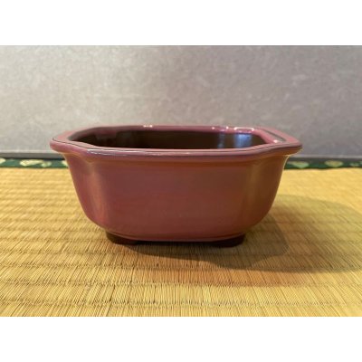 Photo1: No.MSPK1050-4.5  Yokkaichi pot