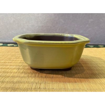 Photo1: No.MSYE1050-4.5  Yokkaichi pot
