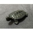 Photo4: ENSS0009  Turtle, small tail bronze
