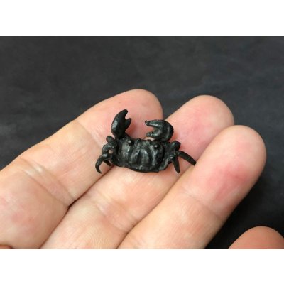 Photo6: No.ENSS0002  Crab, medium bronze