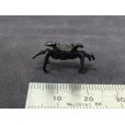 Photo4: No.ENSS0001  Crab, small bronze