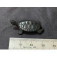 Photo2: ENSS0009 <br>Turtle, small tail bronze (2)