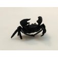 Photo3: No.ENSS0002  Crab, medium bronze