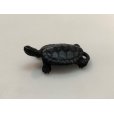 Photo3: No.ENSS0009  Turtle, small tail bronze