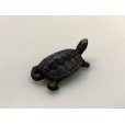 Photo1: ENSS0009 <br>Turtle, small tail bronze (1)