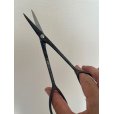 Photo3: No.0603  Bud trimming shears, Specially Made* [100g/170mm]