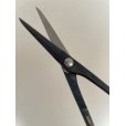 Photo4: No.0603  Bud trimming shears, Specially Made* [100g/170mm]