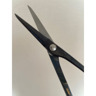 Photo4: No.0603  Bud trimming shears, Specially Made* [100g/170mm]