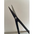 Photo5: No.0603  Bud trimming shears, Specially Made* [100g/170mm]