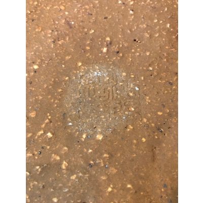 Photo5: No.EA0170  Koyo