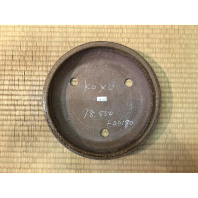 Photo3: No.EA0170  Koyo