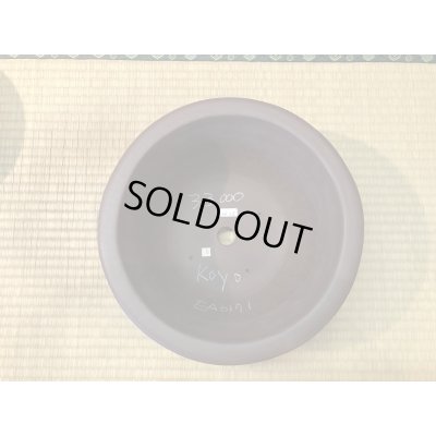 Photo3: No.EA0171  Koyo